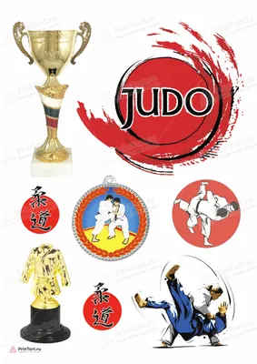 Что лучше дзюдо или борьба: отличие дзюдо от борьбы, бои дзюдоистов и  борцов в ММА