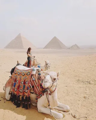 Пирамиды для богатых. Египет для российских туристов подорожал на 20% —  Секрет фирмы