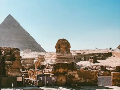 Из Сочи запустили сезонные рейсы в Египет