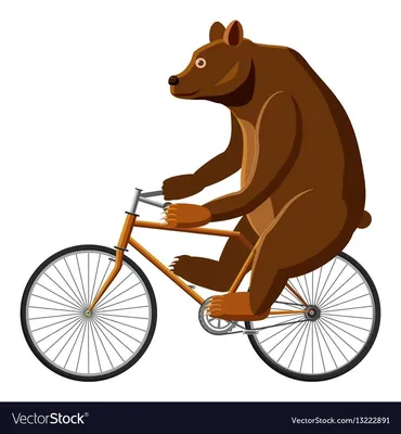 Медведь на велосипеде арт - 66 фото