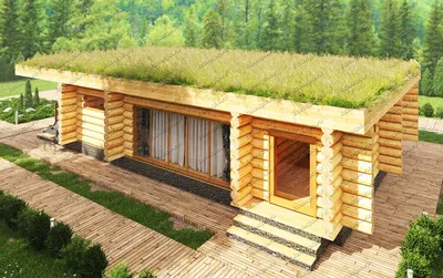 Экологичные материалы и технологии для строительства современного дома