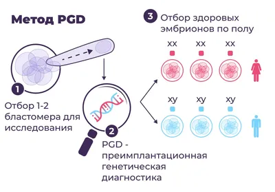 Эко Ярмарка, рынок, ул. Щорса, 79, Ленинский район, Киров — Яндекс Карты