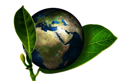 Экологический менеджмент и экологическая безопасность