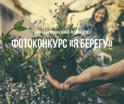 лето искусство окружающая среда экологическая природа Фото Фон И картинка  для бесплатной загрузки - Pngtree