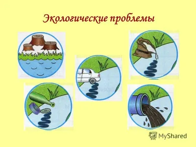 Урок познания мира тема: Охрана воды - БОТАН