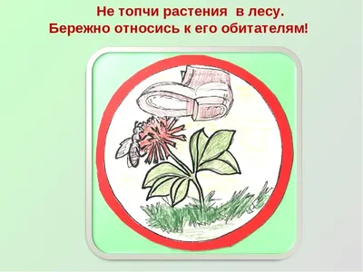 https://prorisuem.ru/beregite-rasteniia-risunok.html