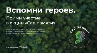 Стихи об экологии ко Всемирному дню окружающей среды для дошкольников