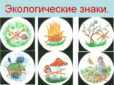 Картинки Экологические знаки (39 шт.) - #9169