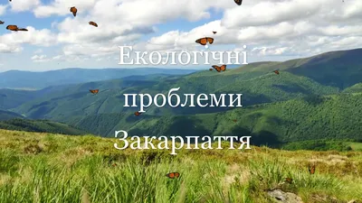 Презентація на тему: \"Як долають екологічні проблеми сучасності\" 5 кл НУШ |  Презентація. Пізнаємо природу