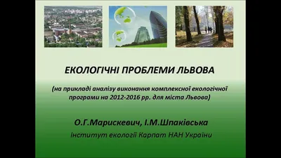 Депутат Київради розповіла, як можна вирішити екологічні проблеми столиці