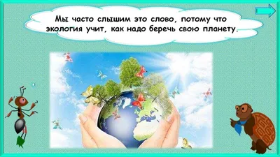 Об экологической ситуации в мире. Что может сделать каждый человек для  окружающей среды? | Христианство и смысл жизни | Дзен