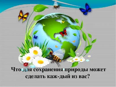 Лэпбук по экологии «Земля — наш общий дом» (20 фото). Воспитателям детских  садов, школьным учителям и педагогам - Маам.ру