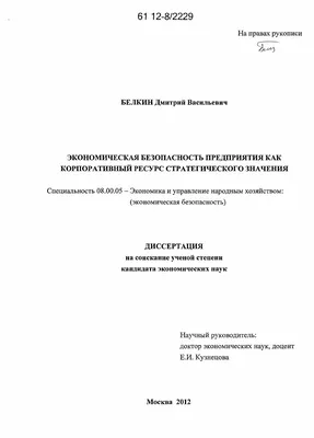 Диссертация на тему \"Экономическая безопасность предприятия как  корпоративный ресурс стратегического значения\", скачать бесплатно  автореферат по специальности 08.00.05 - Экономика и управление народным  хозяйством