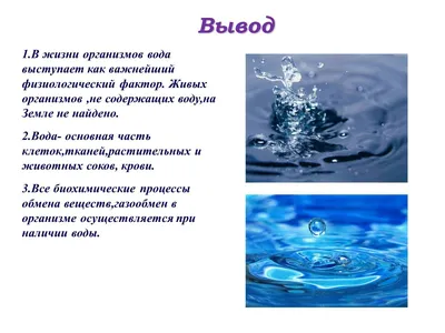 Экономия воды глазами детей: 350 рисунков и сочинений поступило на конкурс  – Новое Телевидение