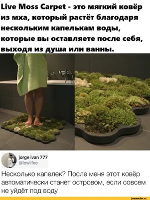 In Vino Veritas - Экономьте воду- принимайте душ вместе 🚿 | Facebook