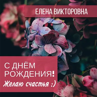 Открытки и картинки С Днём Рождения, Елена Викторовна!