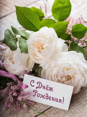 Открытки С Днем Рождения, Елена Владимировна - красивые картинки бесплатно