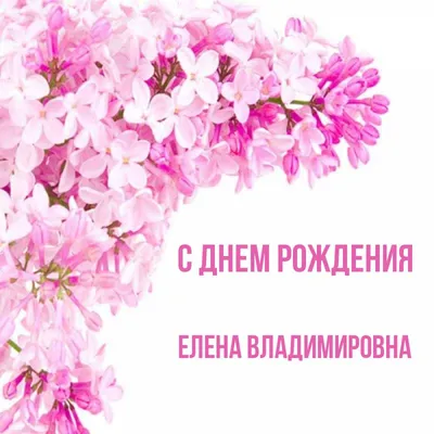Елена Владимировна, поздравляем Вас с днем рождения и желаем Вам всегда  быть такой цветущей, жизнерадостной и успешной! Пускай… | Instagram