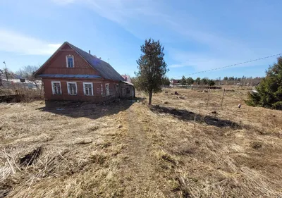 Купить участок в поселке Елизаветино в Гатчинском районе в Ленинградской  области — 50 объявлений о продаже участков на МирКвартир с ценами и фото