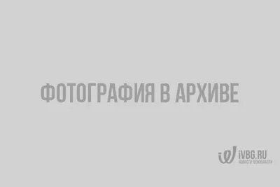 ГОСТИНИЦА ДВОРЕЦ ЕЛИЗАВЕТИНО, Санкт-Петербург и Ленинградская область от  10200 ₽ — Яндекс Путешествия