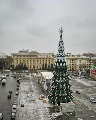 Новогодняя елка из нобилиса с декором \"Хлопок\"