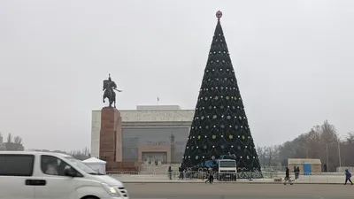 Елка в Киеве 2022 - какая главная елка страны, фото - 24 Канал