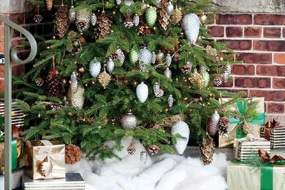 Кто-то из наших читателей уже поставил новогоднюю елку. Вот как это выглядит