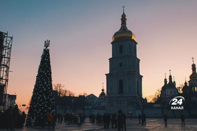 Елка Американская зеленая — Купить с доставкой в Москве | Интернет-магазин  Елки-Ели