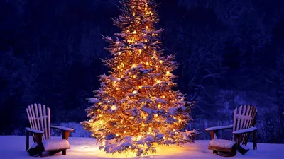 елка из подручных средств: 12 тыс изображений найдено в Яндекс.Картинках |  Weihnachtsbaum basteln, Basteln weihnachten, Weihnachtsbasteln