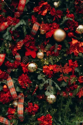 Новогодняя елка и елочные украшения - Новый год - рождество
