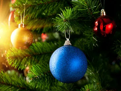 Купить Рождественские постеры и принты Черно-белая рождественская елка с  оленями, настенная живопись, праздничные зимние картинки | Joom