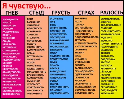 Эмоции и чувства – это одно и то же? Чем они похожи, а чем различаются? |  Маршрут Твоей Жизни | Дзен