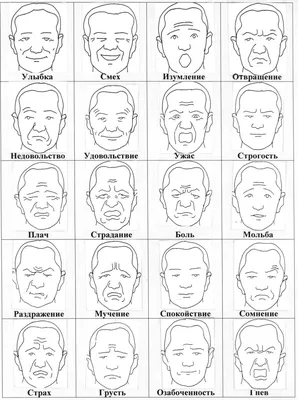 Чувства и эмоции. 16 демонстрационных картинок с текстом на обороте. 174 х  220. купить оптом в Екатеринбурге от 168 руб. Люмна