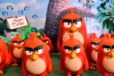 Мультсериал «Энгри Бёрдс — сердитые птички» – детские мультфильмы на канале  Карусель