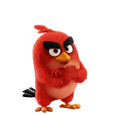 Angry Birds 2 в кино\": почему злые птицы покорили российский прокат -  Российская газета