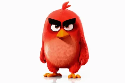 Realistic rendering of angry birds character, red on Craiyon