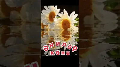 Энилэр коне#эни #сднемматери #рек #лайк | TikTok