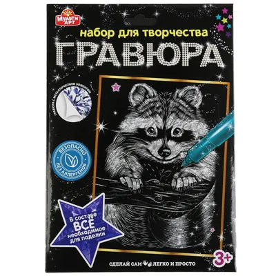 Детская иллюстрация , иллюстрация для детей , Children's illustration ,  drawings for children , референс , енот, новый … | Детские иллюстрации,  Рисунки, Иллюстрации