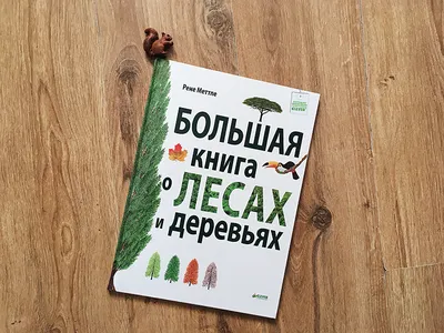 Моя первая энциклопедия. Мастерология в картинках. От археолога до  стюардессы (Барсотти Э.) Издательство Омега - купить книгу с доставкой в  интернет-магазине издательства «Омега» ISBN: 978-5-465-03904-8