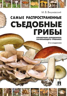Как определить гриб по фото онлайн: 5 приложений для грибника - Лайфхакер