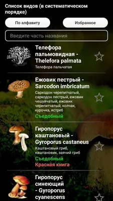ЭкоГид: Грибы – скачать приложение для Android – Каталог RuStore