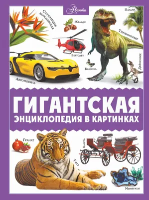 Книга Проф-Пресс Энциклопедия в картинках Зачем котам усы? купить по цене  406 ₽ в интернет-магазине Детский мир