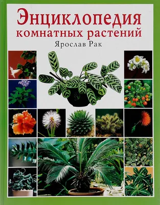 Энциклопедия растений с картинками