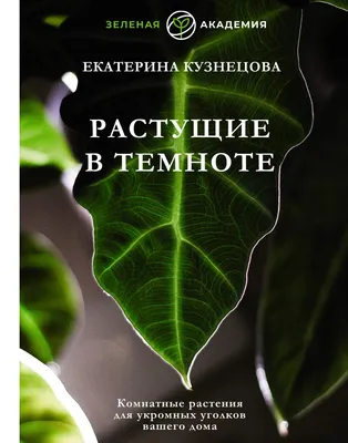 Книга Растущие в темноте. Комнатные растения для укромных уголков вашего  дома - отзывы покупателей на маркетплейсе Мегамаркет | Артикул: 600011429954