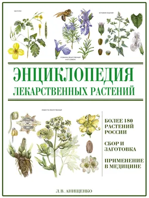 Энциклопедия растений с картинками