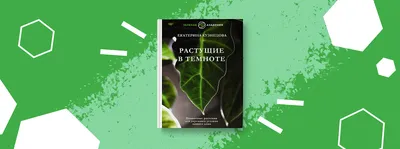 Книга «Лес. Энциклопедия для малышей в картинках» (Ульева Елена) — купить с  доставкой по Москве и России