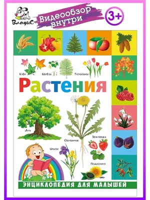 Комнатные растения - 100 самых полезных, каталог с названиями и описанием