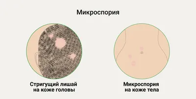 Здоровый образ жизни : Образование - Ленинский район