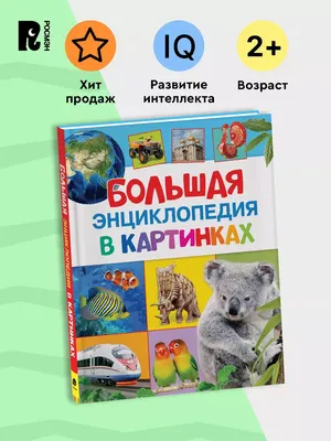 Большая энциклопедия в картинках. Раннее развитие малыша 2+ РОСМЭН 2470195  купить за 713 ₽ в интернет-магазине Wildberries