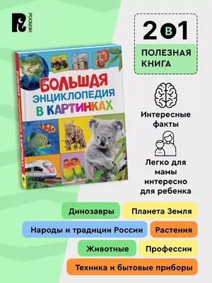 Большая энциклопедия в картинках. Раннее развитие малыша 2+ РОСМЭН 2470195  купить за 713 ₽ в интернет-магазине Wildberries